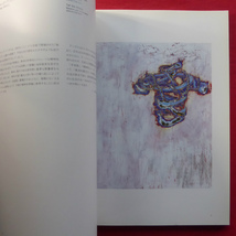 z30図録【現代美術の展望-新しい平面の作家たち/1996年・上野の森美術館】東島毅/小林孝亘/富岡直子/富田有紀子/端聡/児玉靖枝_画像7