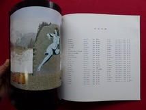 p7図録【焔仁の世界展/池田20世紀美術館・1991年】 JIN HOMURA_画像5