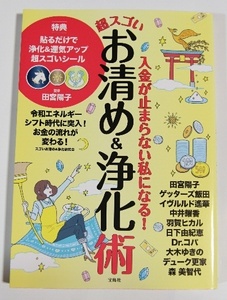 入金が止まらない私になる！超スゴいお清め＆浄化術 スゴいお清め＆浄化研究会 エネルギー スピリチュアル 浄化 運気アップ ゲッターズ飯田