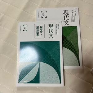 大学入学共通テスト演習 現代文 参考書 解答 解説
