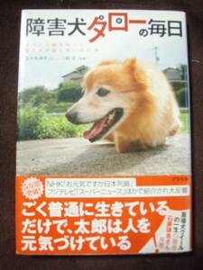 ☆障害犬タローの毎日・全ての脚を失った捨て犬の涙と笑いの11年