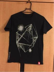 美品 the HIATUS Ghost In The Rain Tour 2009 Tシャツ サイズXS ハイエイタス