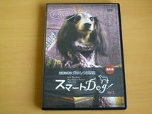 DVD 遠藤和博の 犬のしつけ教室 スマート Dog Vol.1 基本編 / 送料込み_画像1