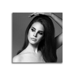 ラナ・デル・レイ Lana Del Rey ポスター ボード パネル フレーム 50x50cm 海外 アート インテリア グッズ 写真 雑貨 絵 フォト 4