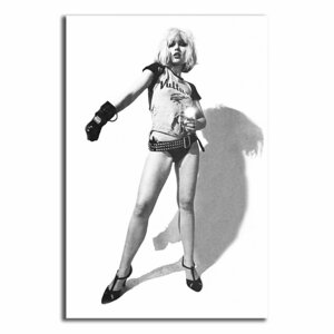 デボラ ハリー Debbie Harry ポスター ボード パネル フレーム 70x50cm 海外 アート グッズ 写真 雑貨 フォト 絵 大 おしゃれ かわいい 15