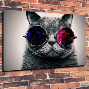 Art hand Auction Cat, cat, cat, sunglasses, high-end canvas art, panel, poster, A1, overseas, miscellaneous goods, animal, animal, abstract painting, art, painting, large, goods, stylish, photo, Printed materials, Poster, others