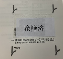 【除籍本】造血器腫瘍　腫瘍病理鑑別診断アトラス　 編集 定平吉都/北川昌伸　文光堂　2013年発行【ta02g】_画像7