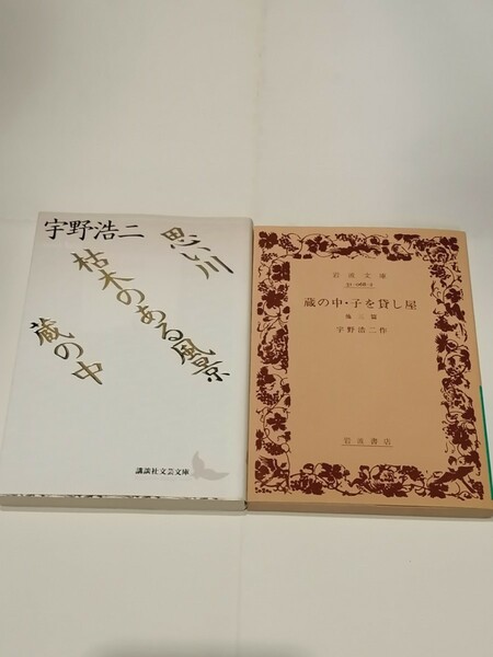 宇野浩二　２冊　「蔵の中　子を貸し屋　他3篇」「思い川　枯れ木のある風景　蔵の中」　絶版本　小説　文学　文庫本 岩波文庫 講談社