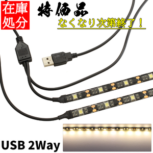 USB LEDテープライト 防水 50cm 2分岐タイプ 電球色 正面発光 間接照明 インテリア