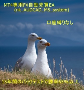 MT4専用FX自動売買EA（nk_AUDCAD_M5_system)