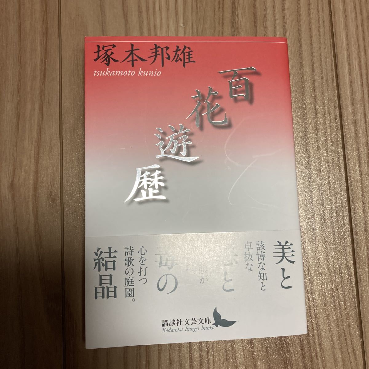 激安通販ショッピング 塚本邦雄 講談社文芸文庫12冊セット cinemusic.net 激安通販ショッピング 塚本邦雄 講談社文芸文庫12冊セット cinemusic.net