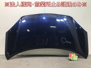 マーチ K13/NK13 純正 ボンネット/エンジンフード ダークブルーパール カラーNo.RAA 日産(110203)