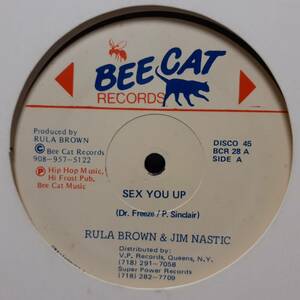 米オリジ12インチ！Color Me Badd の I Wanna Sex You Up レゲエ・カバー 95年 Rula Brown&Jim Nastic Bee Cat BCR 28 Reggae Raga Muffin