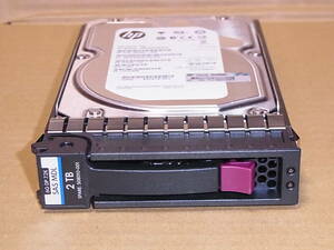 **Seagate ST2000NM0001/HP mounter /2TB/SAS/MB2000FBZPN/2 pcs equipped (SH593A1)