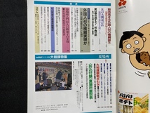 c■□　別冊 NHKウイークリーSTERA　大相撲特集号　夏場所　平成4年5月1日　表紙・ 栃乃和歌　安芸ノ島　すもう　相撲　SUMOU　/　F101_画像2