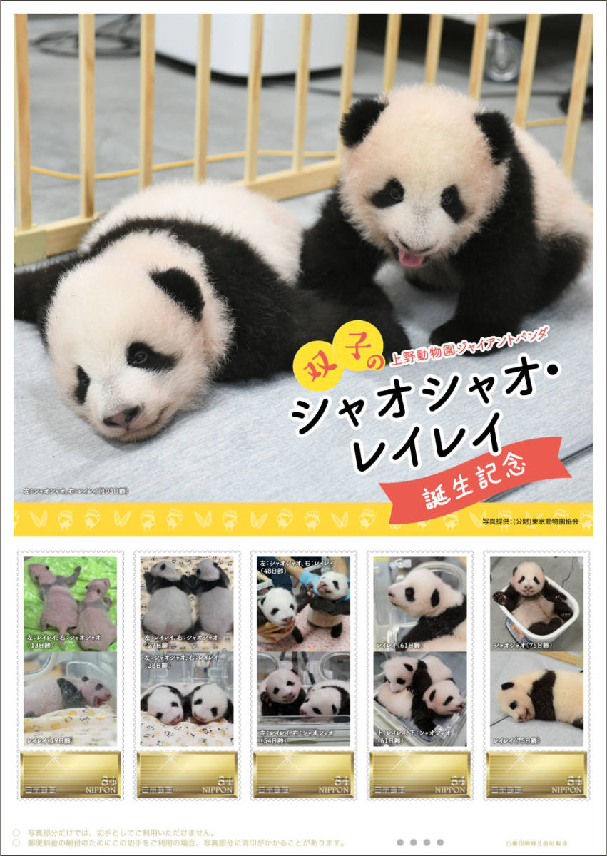 革14 大パンダ、ジャイアントパンダ、大熊猫FDC-