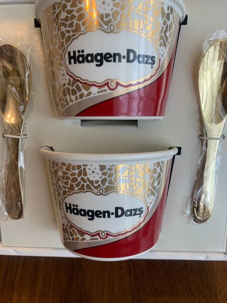 ハーゲンダッツ スーパープレミアクラブ アイスクリームカップ&スプーンセット 日本製 陶器