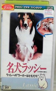 #2 32741 名犬ラッシー ラッシーのクーガーはともだち 【レン落ち】　【 VHS ビデオテープ 】　【再生未確認】 吹替版 江原正士