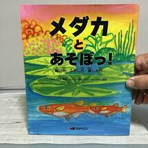 メダカとあそぼう！ ガ④ 絵本 監修 岡本信明 東海大学理事 絵 竹内通雅 ㈱キョーリン 定価1200円_画像1