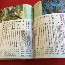 Y16-115 薬食健康法事典 別冊壮快 改訂版 いま注目の健康食品と薬用植物 マイヘルス社 講談社 1978年発行 プルーン カキ アズキ など_画像3