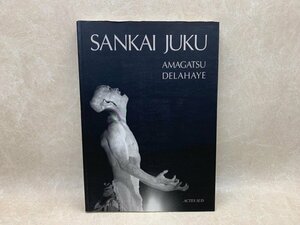 洋書写真集/SANKAI JUKU - AMAGATSU DELAHAYE　山海塾　CIF401