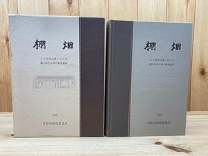 棚畑 八ケ岳西山麓における縄文時代中期の集落遺跡【長野県茅野市】　CGB1773