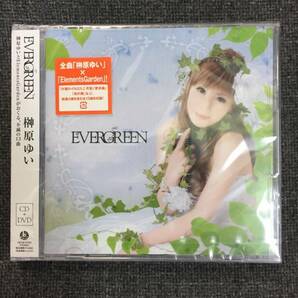 新品未開封CD☆榊原ゆい　ＥＶＥＲＧＲＥＥＮ..初回限定盤(2009/11/26)/ QECB91003..