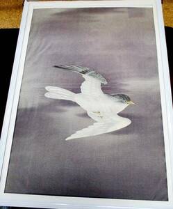 ●布絵●鳥●中古品●