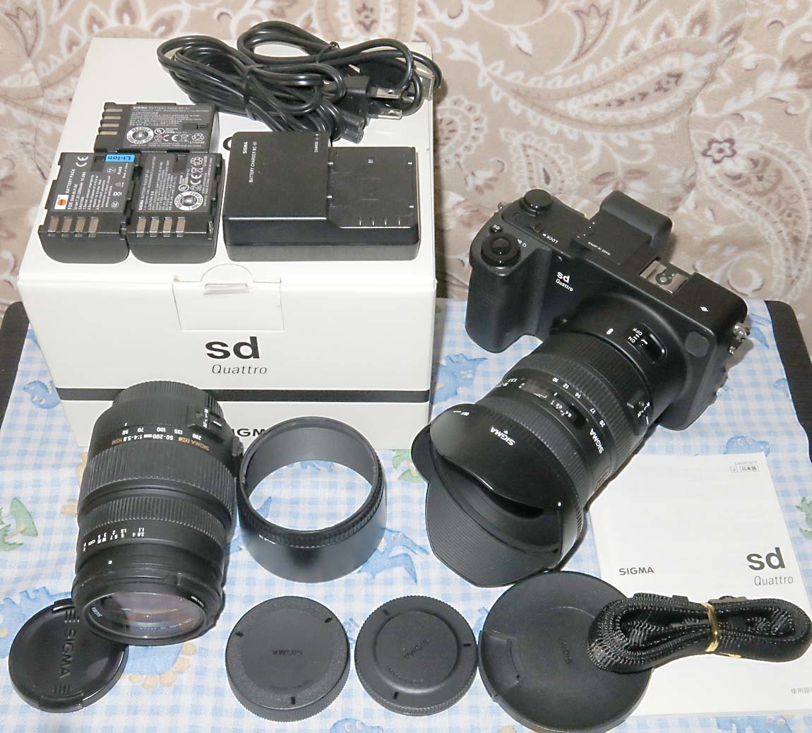 ヤフオク! -「sd quattro」の落札相場・落札価格 ヤフオク! -「sd quattro」の落札相場・落札価格