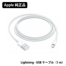 【Apple純正品★新品】iPhone iPad ライトニングケーブル Lightning - USBケーブル 1m バルク 本体標準同梱品 MFi 認証品★PCS-MD818ZM_画像1