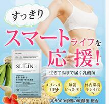 ★即決　SLILIN S スリリン　エス　腸内環境を整えて便通の改善！おなかすっきりダイエット！送料無料　新品未開封　継続3か月分（3個）_画像2