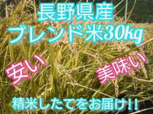 【白米】長野県産ブレンド米 30キロ（10キロ×3袋）長野産米100%　つきたてをお届けします!!