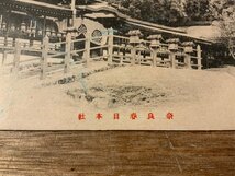 FF-2612■送料無料■ 奈良県 奈良 春日本社 寺 神社 建物 建築物 絵葉書 古写真 写真 印刷物/くSIら_画像3