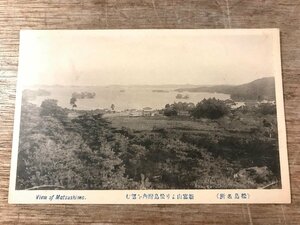 FF-2756■送料無料■ 宮城県 松島名所 新富山 松島湾 景色 風景 絵葉書 古写真 写真 印刷物/くSIら