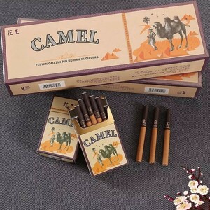 茶煙草 CAMEL 20本入り１箱