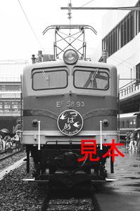 鉄道写真、35ミリネガデータ、102070860026、EF58-93、つばめ、大宮工場、1985.10.06、（2552×1692）（雨天）