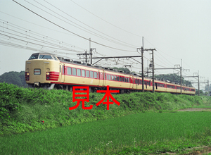 鉄道写真、645ネガデータ、147181850009、修学旅行、189系（H81編成）、JR東北本線、蓮田〜東大宮、2006.06.01、（4529×3317）