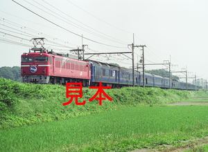 鉄道写真、645ネガデータ、147181850010、EF81-81＋北斗星、JR東北本線、蓮田〜東大宮、2006.06.01、（4591×3362）