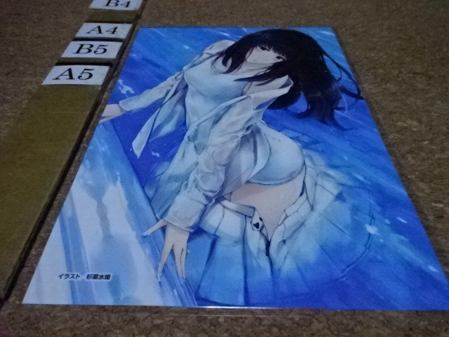 在庫あり】 杉菜水姫 スギナミキ 作品第二集 花葬 5000部限定 未開封品