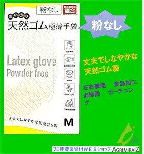 天然ゴム極薄手袋　粉なし　100枚入り　M