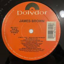 【 12inch レコード】James Brown Say It Loud, I'm Black And I'm Proud The Hip-Hop Remix_画像2