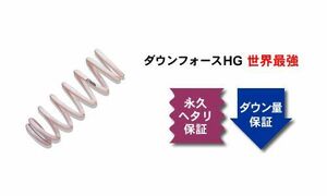 [ズーム]CE9A ランサーエボリューション(ランエボ3)用ダウンサス〔HG〕