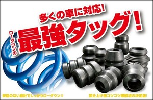 [ESPELIR]SCP100 ラクティス(2WD/1.3L)用スーパーダウンサス+バンプラバー