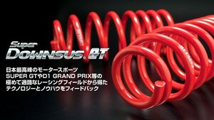 [ESPELIR]HR31 スカイライン(GTS-Xターボ)用スーパーダウンサスGT