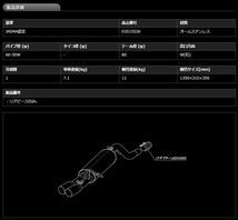 [柿本_改]ABA-A75FY プジョー207_2WD(5FY / 1.6 / Turbo_2007/06～2009/09)用マフラー[einsatz s-622][J6C3001#][車検対応]_画像2