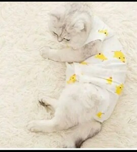 猫用 術後服 M