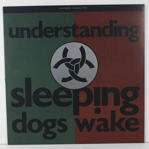 L05/LP/Sleeping Dogs Wake - Understanding/UK TPLP11