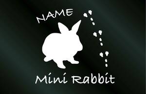  name entering .... sticker Mini rabbit C type 