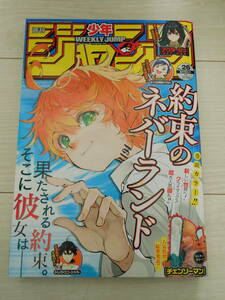 週刊少年ジャンプ 2020年 26号 6月15日号 巻頭カラー 約束のネバーランド センターカラー チェンソーマン 匿名配送210円～