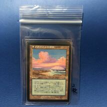 サプラーツォの岩礁/Saprazzan Skerry日本語版 MTG MMQ 2枚セット_画像3